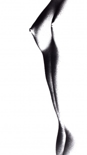 Torzo