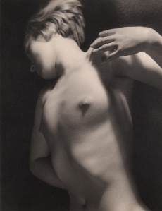 Torso