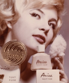 Amica