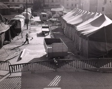 Cirkus
