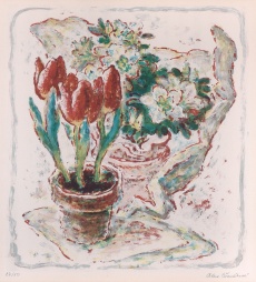Tulipány