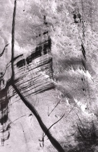 Energie I.
