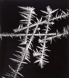 Zima
