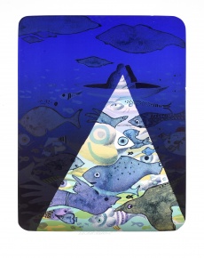 Zorné pole pod vodou