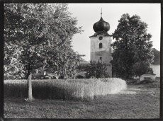 Bohemian Landscape
