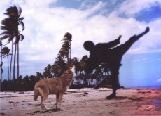 Kungfu, z cyklu Body Scale