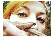Z cyklu Den Země, Spring Snake