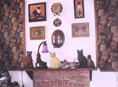 Kočičí sen