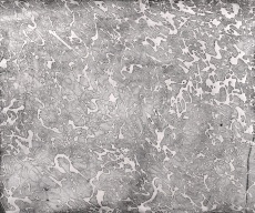 Pocta Pollockovi II.