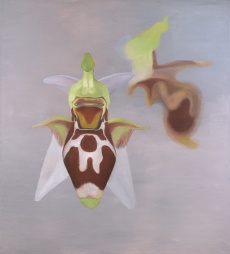 Dvě orchideje