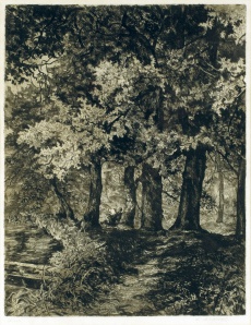 Jabkenice II.