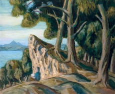 Máchovo jezero