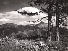 Podbansko