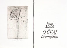 O čem přemýšlím, Ivan Medek