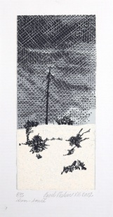 Strom - louže