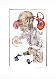 Nesoustavná anatomie