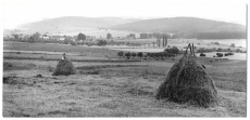 Česká krajina