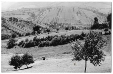 Morava
