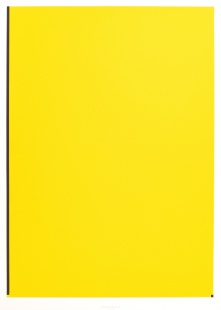 Žluté pole