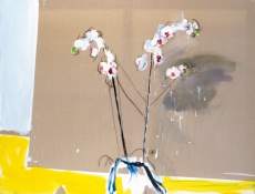 Orchidej
