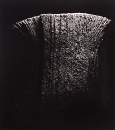 Fragment