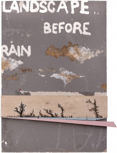 Landscape before Rain