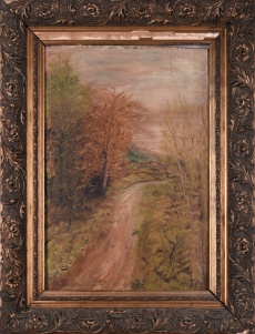 Cesta lesem