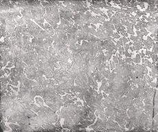 Pocta Pollockovi II.
