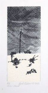 Strom - louže