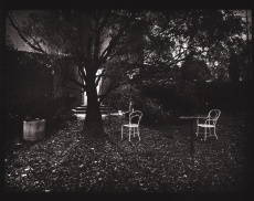 Z cyklu Procházky - Kouzelná zahrádka