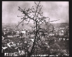 Z cyklu Přichod jara do Prahy