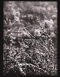 Z cyklu Procházky, Pohled na jaro z naší ulice