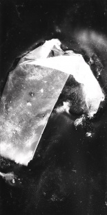 Svědek