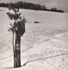 Kaplička, Vrchlabí