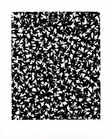 Listy čínského javoru, 2 ks