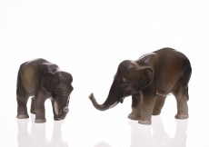 Slon, 2 ks