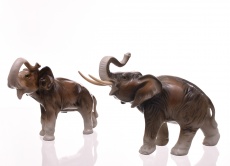 Slon, 2 ks