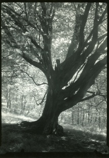 Procházka po Mionší