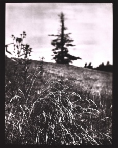 Z cyklu Procházky, Procházka po Mionší