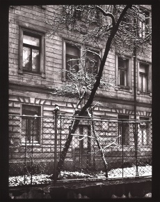 Z cyklu Procházky, Na našem dvoře