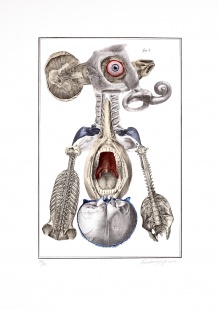 Nesoustavná anatomie