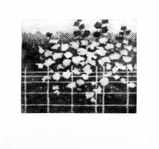 Variace na téma strom I.