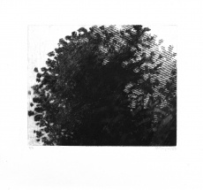 Variace na téma strom II.