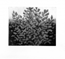 Variace na téma strom III.