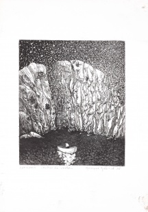 Sotto le Stelle