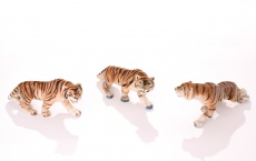 Tygr, 3 ks