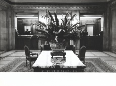 Hala hotelu Maurice, Paris