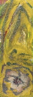 Flóra