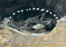 Oko