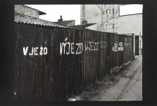 Holešovice